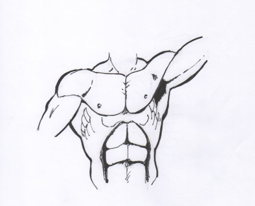893x720 How To Draw The Male Torso Step - Male Torso Drawing