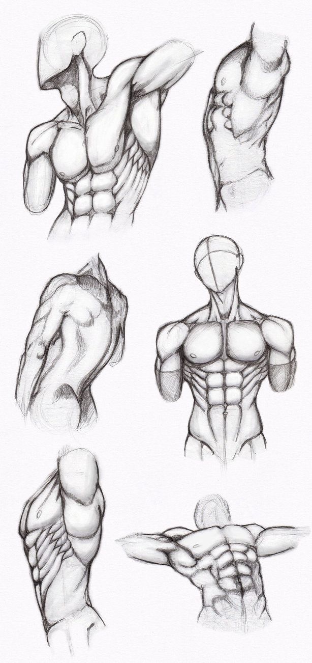 614x1302 Copy's And Studies Jinx Star Male Bodies - Male Upper Body Drawing