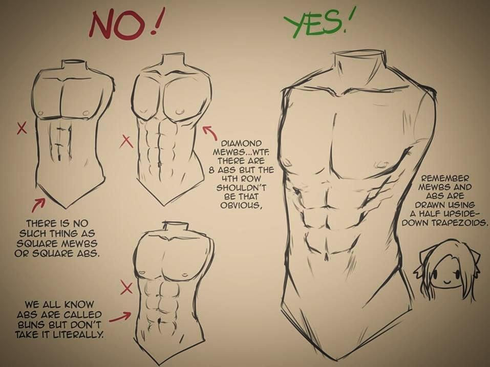 957x717 How To Draw A Male Upper Body Part Art Drawings, Art, Art - Male Upper Body Drawing