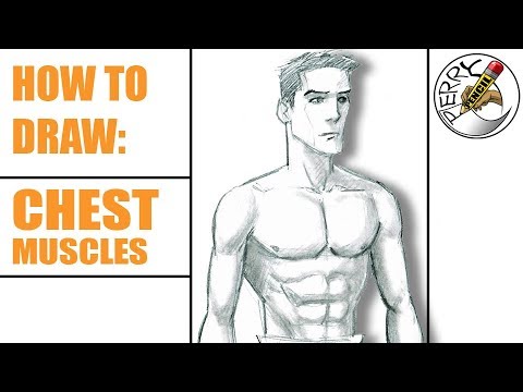 480x360 How To Draw Chest Muscles, Abs, And Male Upper Body - Male Upper Body Drawing