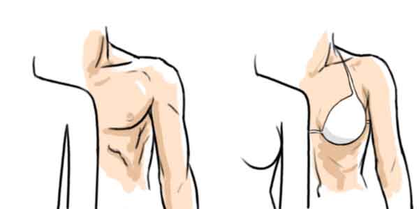 600x300 How To Draw The Upper Body - Male Upper Body Drawing