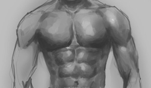 500x293 Body Archives - Male Upper Body Drawing