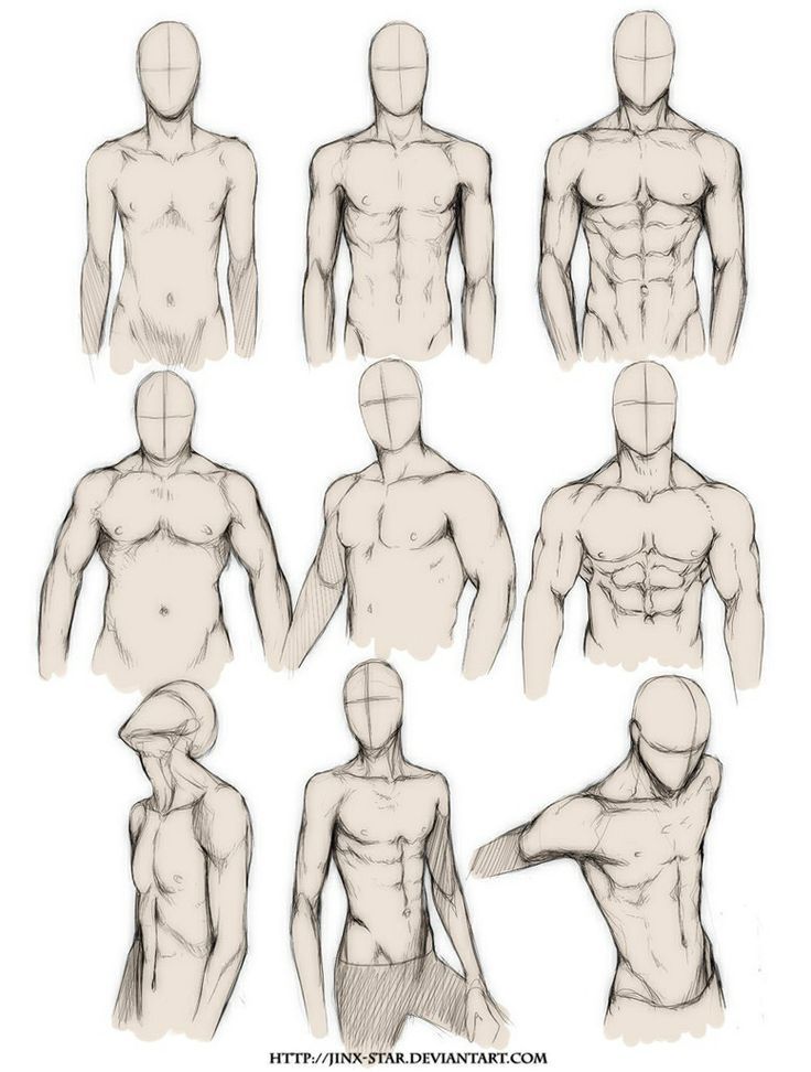 736x972 Male Upper Body Drawing Tips Drawings, Art, Guy Drawing - Male Upper Body Drawing