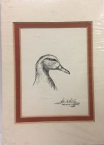 215x300 female mallard sketch carter sr duck drawing original sealed - Mallard Duck Drawing