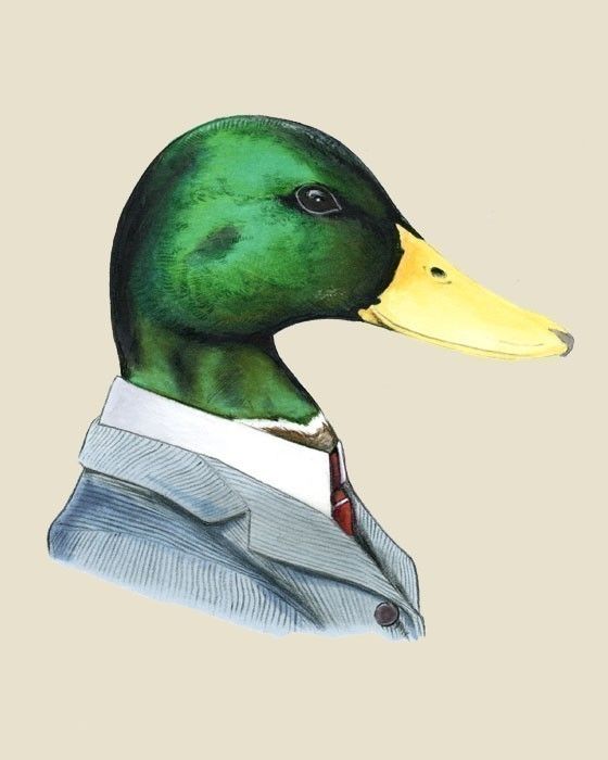 560x700 a different perspective mallard ducks art print - Mallard Duck Drawing
