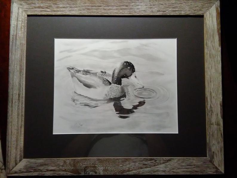 794x596 Original Mallard Duck Pencil Drawing Etsy - Mallard Duck Pencil Drawing