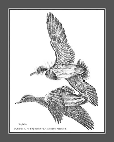 400x500 flying mallards companion print - Mallard Duck Pencil Drawing