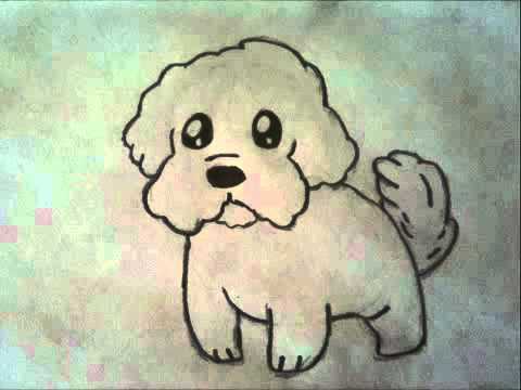 480x360 how to draw a maltese puppy - Maltese Dog Drawing