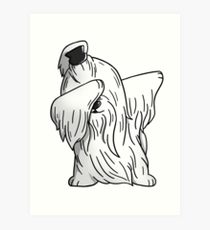 210x230 maltese drawing art prints redbubble - Maltese Drawing
