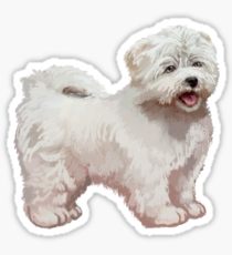 210x230 maltese drawing gifts merchandise redbubble - Maltese Drawing
