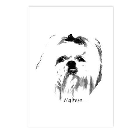 460x460 maltese drawing postcards - Maltese Drawing
