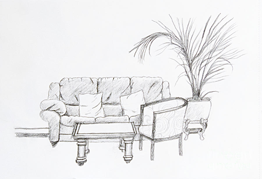 900x615 maltese sofa drawing - Maltese Drawing