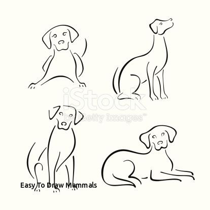 414x414 easy to draw mammals best dog crafts images - Mammals Drawing