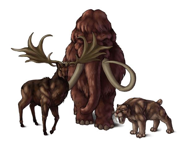 600x471 how to draw animals the great extinct mammals - Mammals Drawing