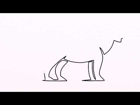 480x360 how to draw mammal easy drawing for kids step - Mammals Drawing