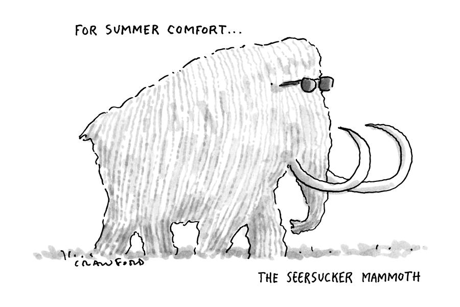 900x601 for summer comfortthe seersucker mammoth drawing - Mammoth Drawing
