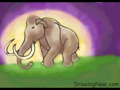 480x360 how to draw woolly mammoth - Mammoth Drawing