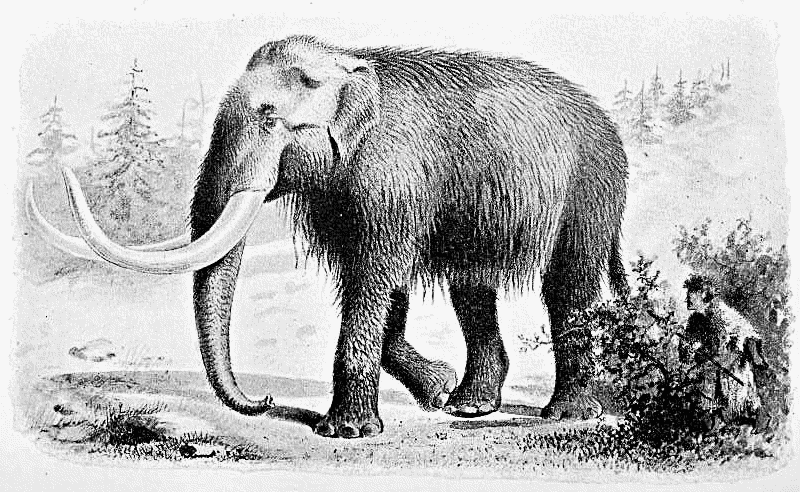800x492 mammoth drawing - Mammoth Drawing