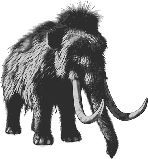 513x550 Woolly Mammoth Pen Drawing Design In Shades Of Gray Posters - Mammoth Drawing
