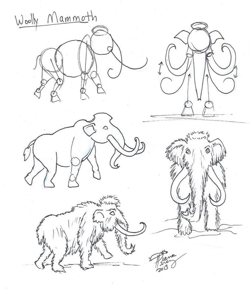 824x970 draw a woolly mammoth - Mammoth Drawing