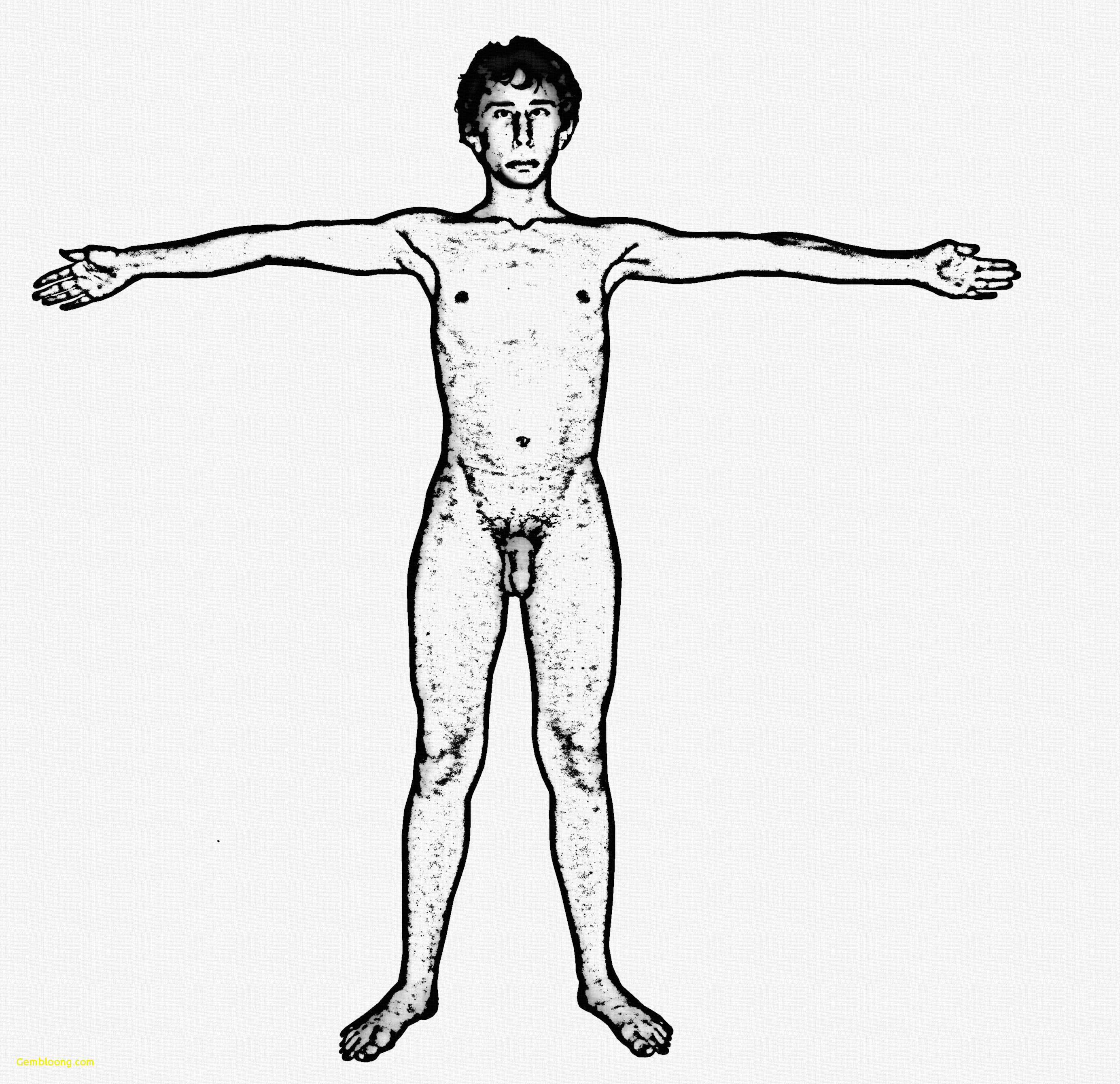 2768x2680 Drawing The Human Figure Basic Collection Of Human Body - Man Body Drawing