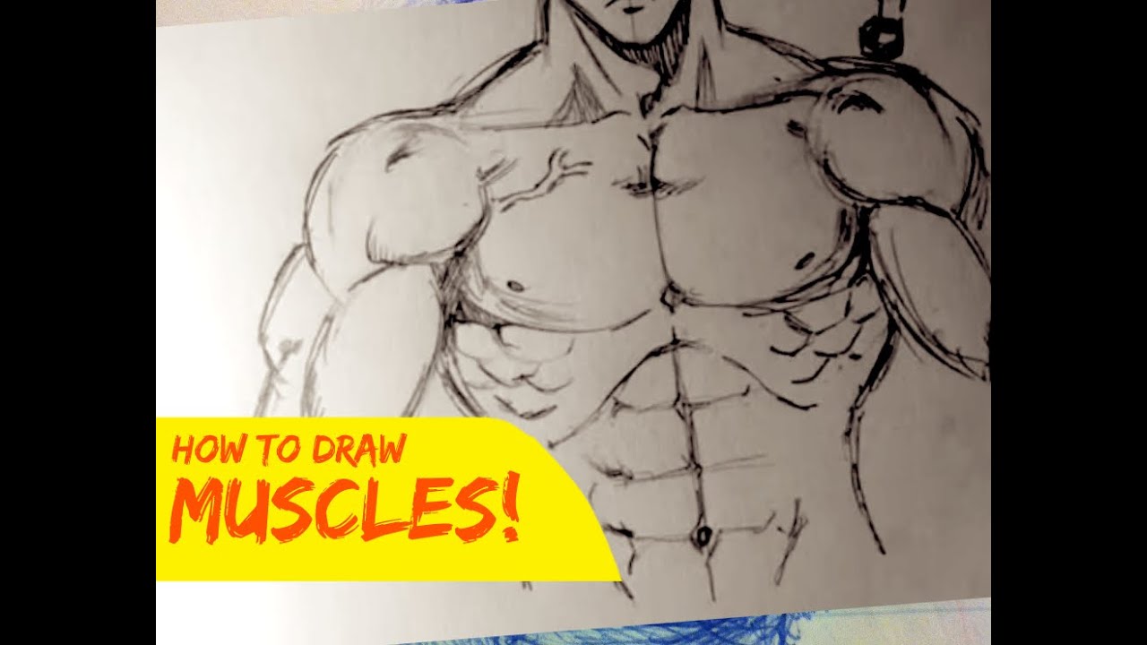 1280x720 Huge Collection Of 'man Body Drawing' Download More Than - Man Body Drawing
