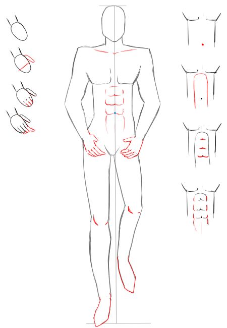 450x650 How To Draw A Man Figure For Fashion Design Sketches Step - Man Figure Drawing