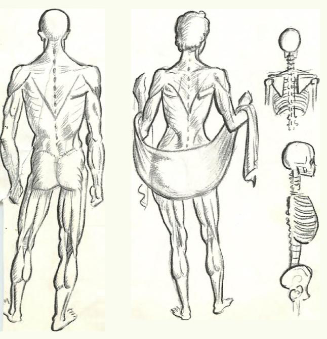 646x671 Figure Drawing Skeletons - Man Figure Drawing