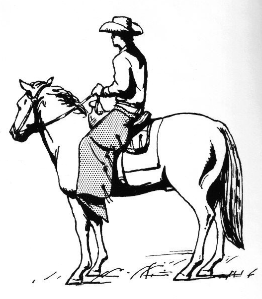 527x603 Horse Drawing Person For Free Download - Man On Horse Drawing