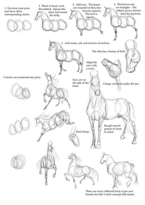 579x821 Oh Man I Need This I'm Hopeless - Man On Horse Drawing