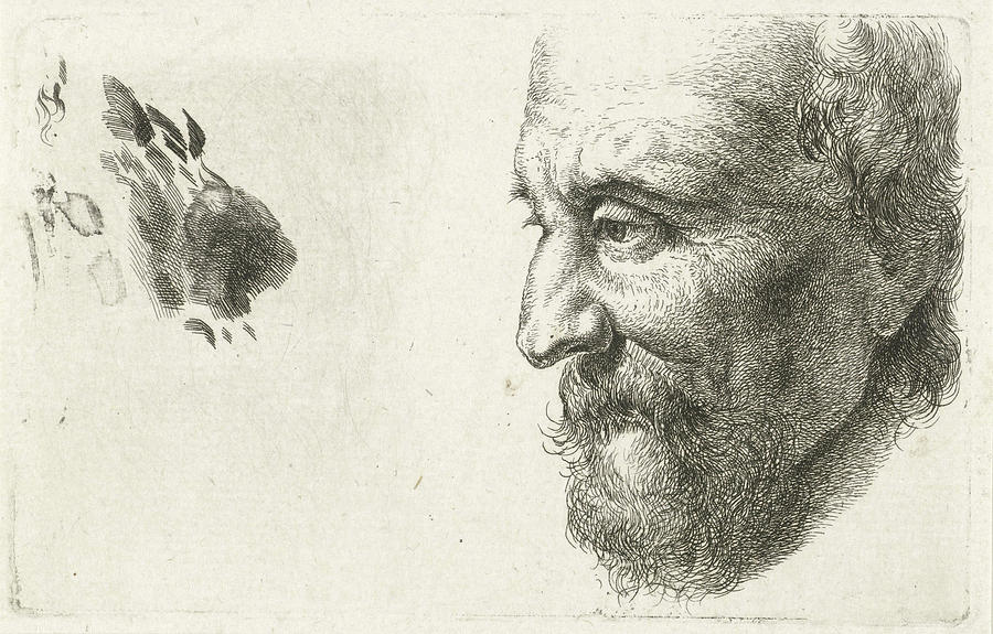 900x575 Face Of An Old Man In Profile, Johannes Mock Drawing - Man Profile Drawing