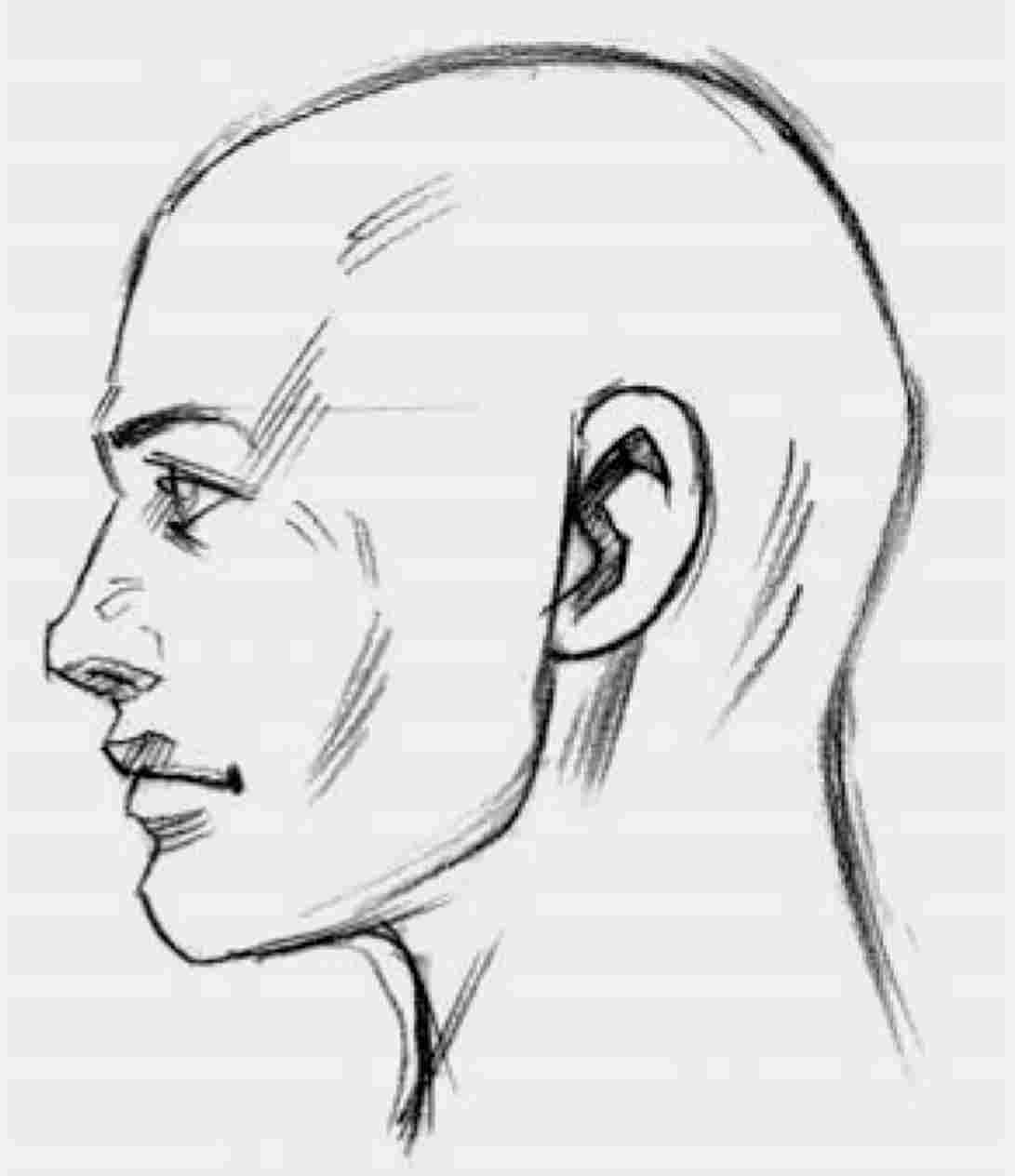 1091x1264 Draw A Face From The Side Profile View Male Man Easy - Man Profile Drawing