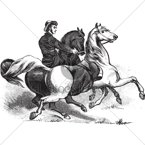 500x500 Man Riding Horses Gl Stock Images - Man Riding Horse Drawing