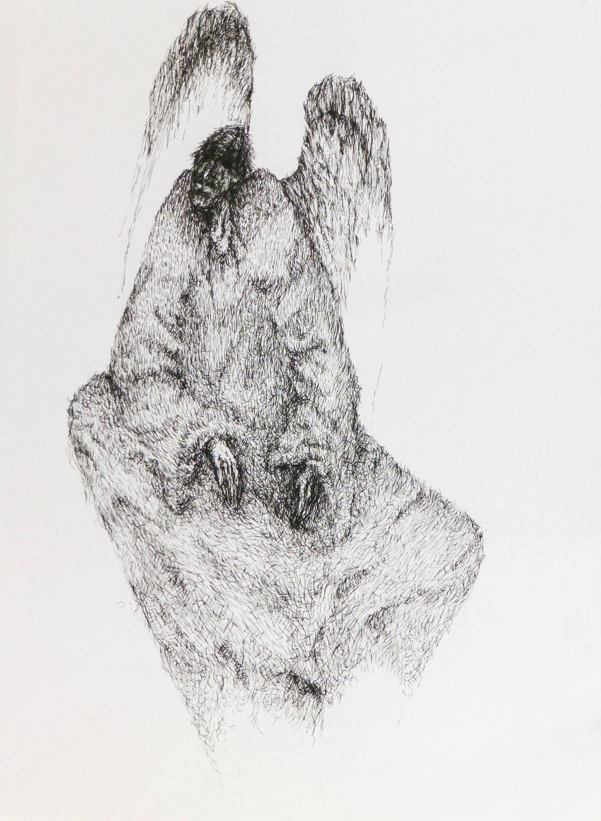 1920x2620 An Old Man With Enormous Wings Drawing - Man With Wings Drawing