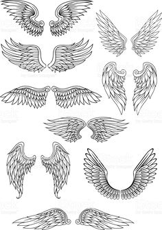 236x335 Bottom Left Square Top Left Wing Tattoos Design Drawings - Man With Wings Drawing
