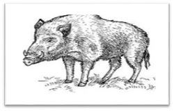 250x160 drawing manager drawing cartoons drawings, cartoon - Manager Drawing