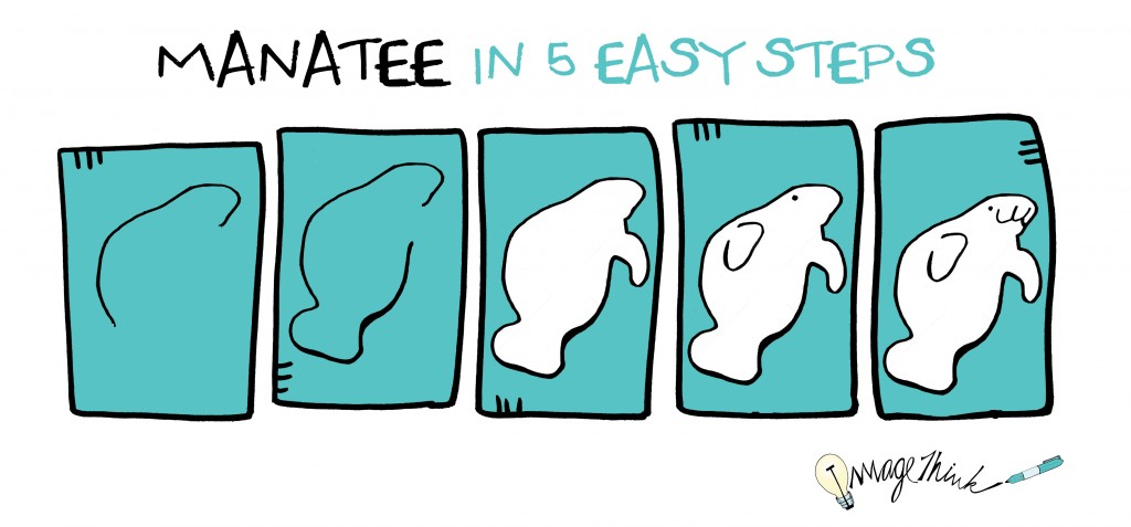 1024x477 How To Draw A Manatee In Easy Steps - Manatee Drawing
