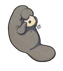 212x238 Image Result For Cute Manatee Drawing Art Drawings, Manatee, Art - Manatee Drawing