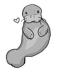 200x252 Image Result For Manatee Cartoon Drawing Ideas Manatee, Art - Manatee Drawing