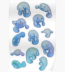 210x230 Manatee Drawing Posters Redbubble - Manatee Drawing