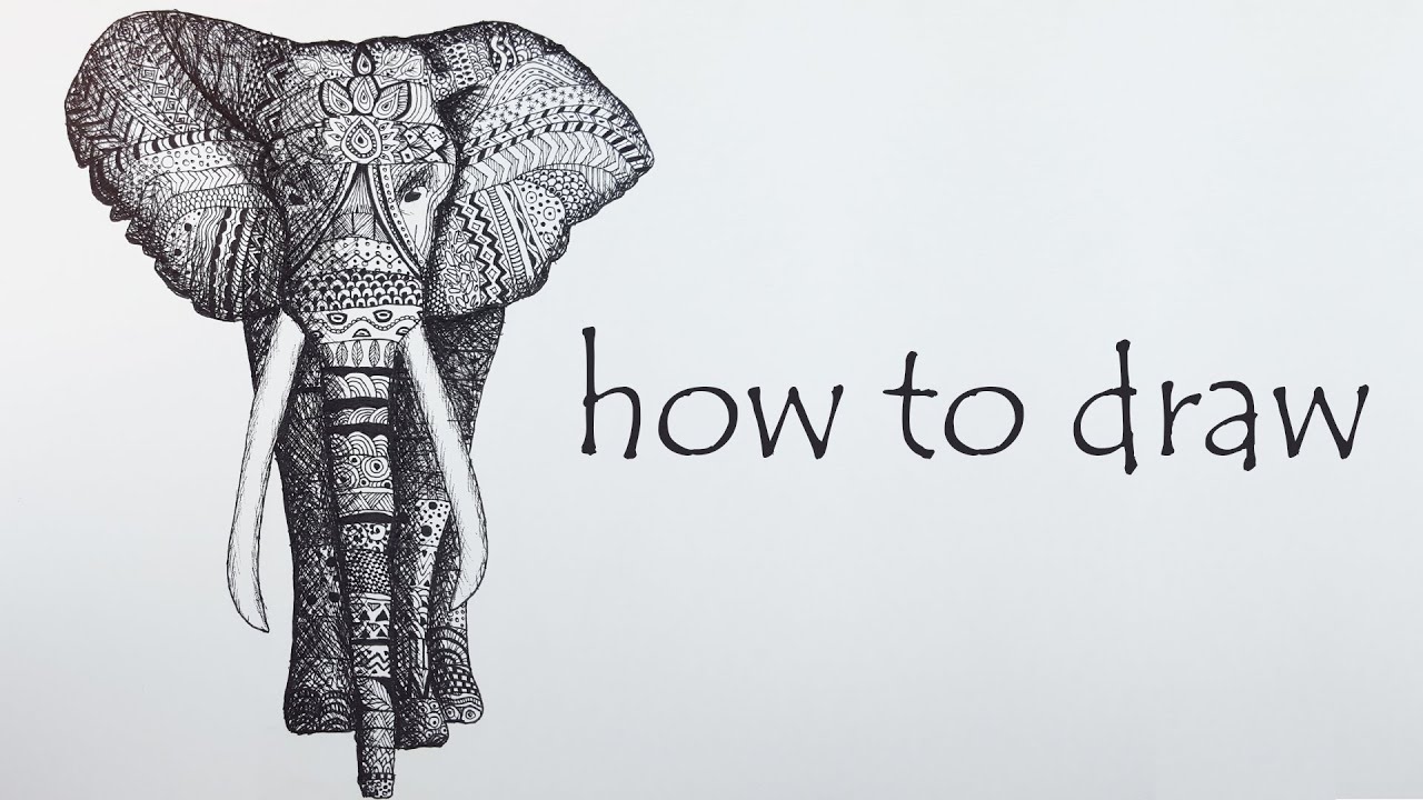 1280x720 Diy Tutorial Elephant Speed Drawing Black White Mandala - Mandala Drawing Animals