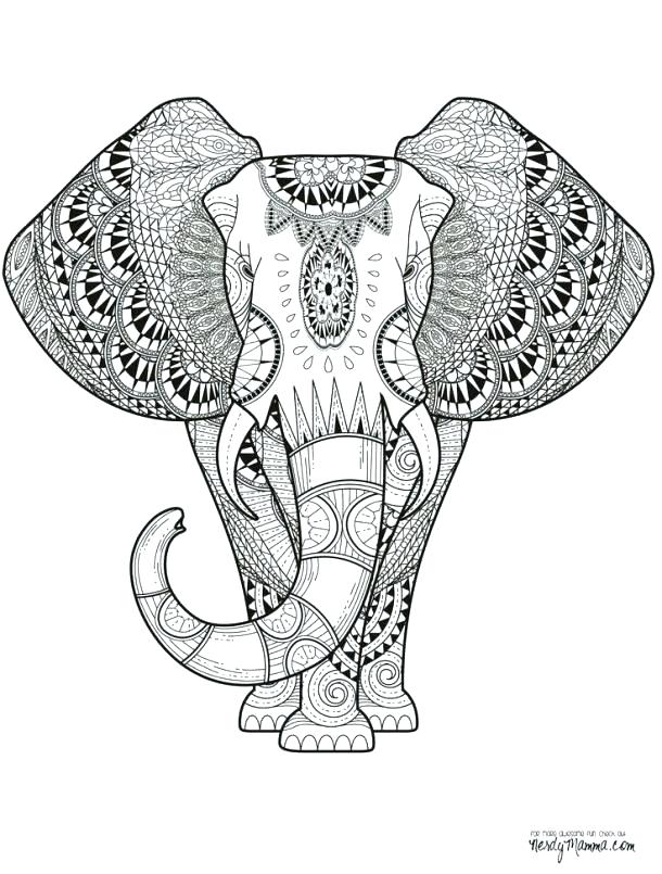 610x805 Animal Coloring Book Zoo Animals Pages Inspirational Free Luxury - Mandala Drawing Animals