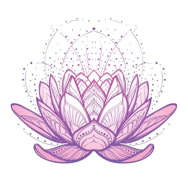 612x612 best lotus flower drawings ideas lotus drawing, lotus design - Mandala Lotus Flower Drawing