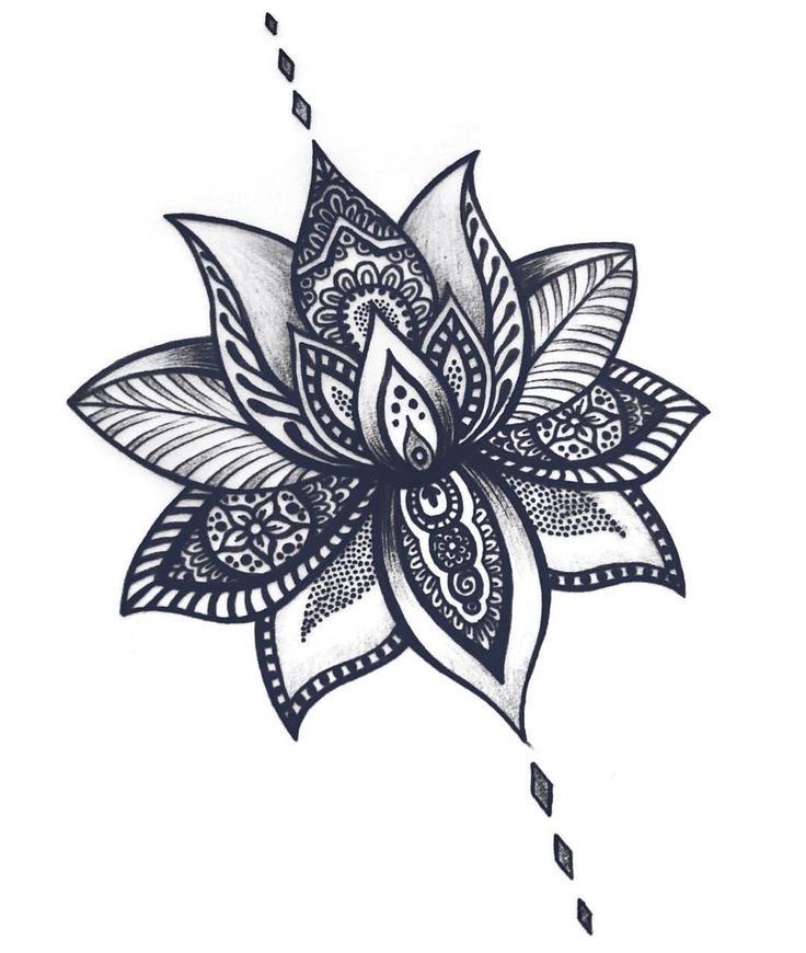 Mandala Lotus Flower Drawing at Explore collection