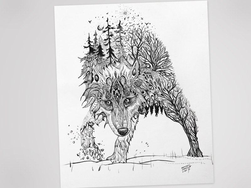 800x600 Mandala Wolf - Mandala Wolf Drawing