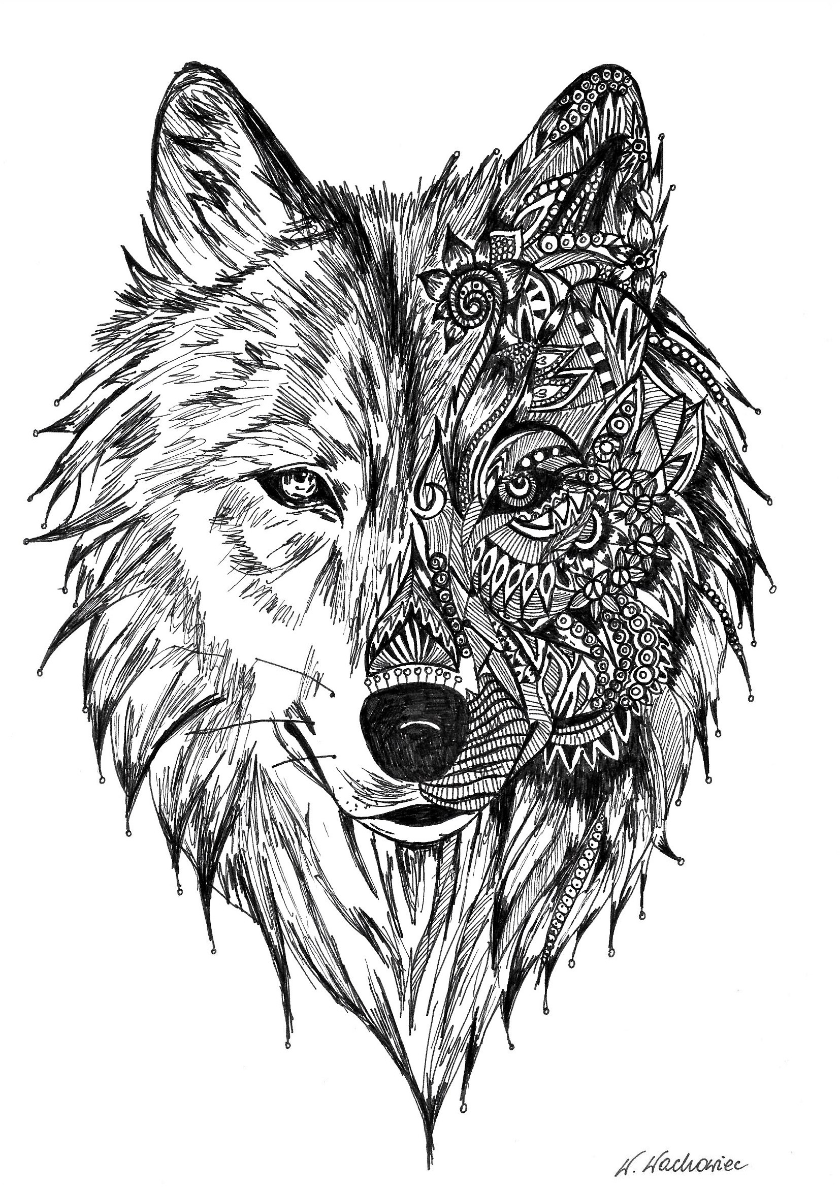 Download Mandala Wolf Drawing at PaintingValley.com | Explore ...