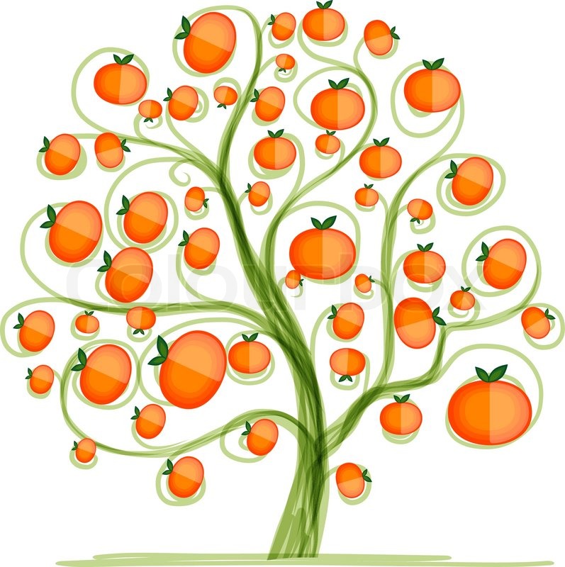 797x800 mandarin tree for your design vector stock vector colourbox - Mandarin Drawing
