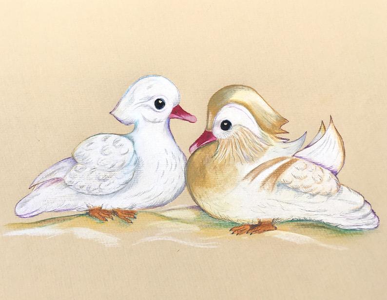 794x616 original drawing albino mandarin duck couple aix etsy - Mandarin Drawing