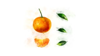 320x180 vegetables fall drawing looped animation motion background - Mandarin Drawing