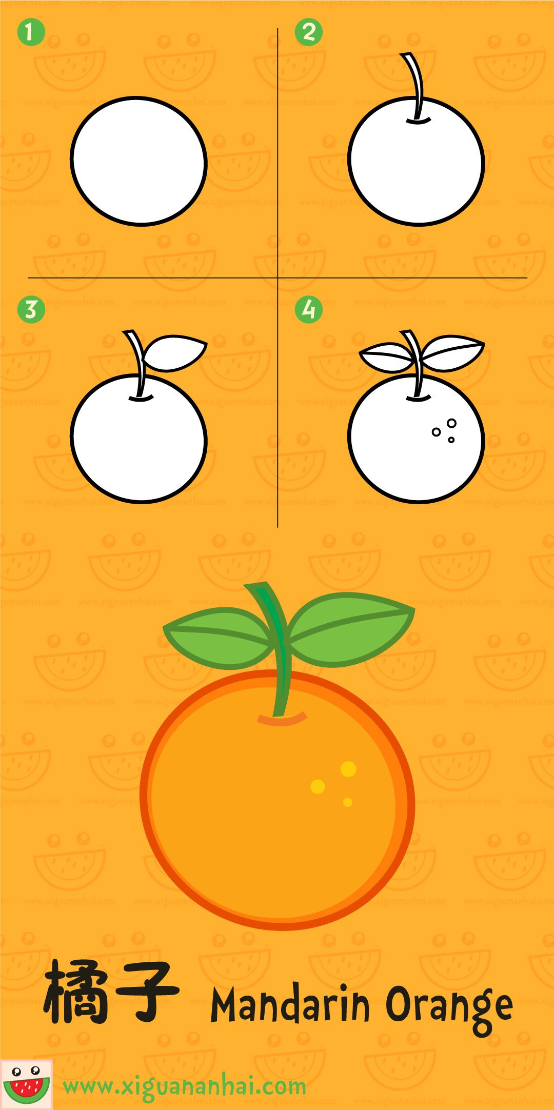 1080x2164 mandarin orange in drawings, art - Mandarin Drawing
